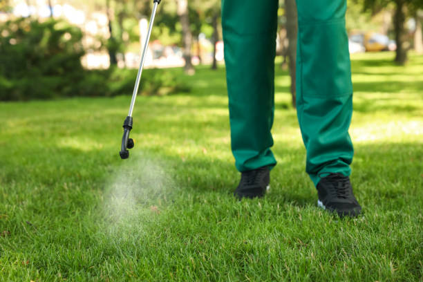 Pest Control Cost in Olla, LA